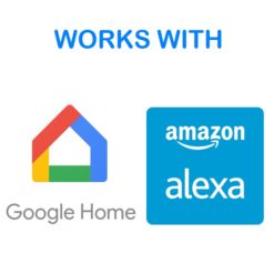 Alexa - Google Home